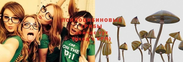 а пвп мука Заволжск