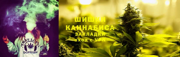 мескалин Заводоуковск