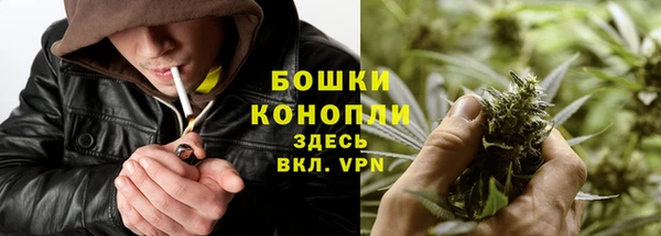 мескалин Заводоуковск
