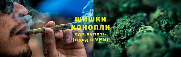 мескалин Заводоуковск