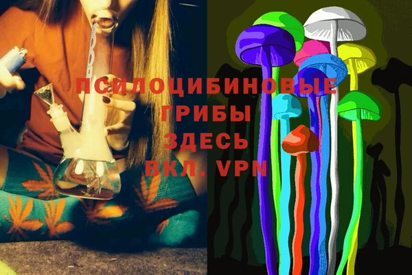 марки nbome Тайга