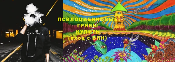 индика Строитель