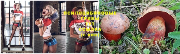 мескалин Заводоуковск