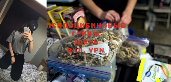 мескалин Заводоуковск