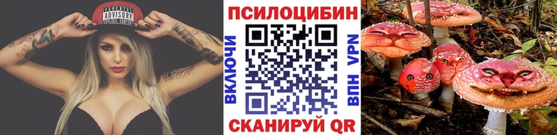 Псилоцибиновые грибы мухоморы  mega ССЫЛКА  Калач  где найти наркотики 